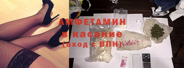 сатива Куйбышев