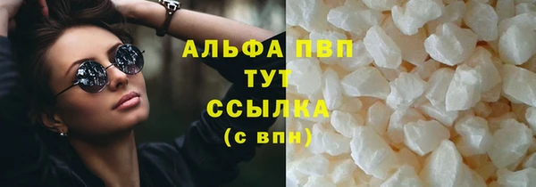 сатива Куйбышев