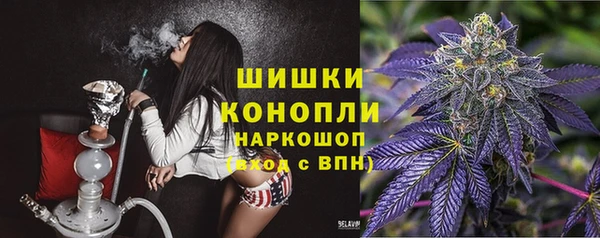 сатива Куйбышев