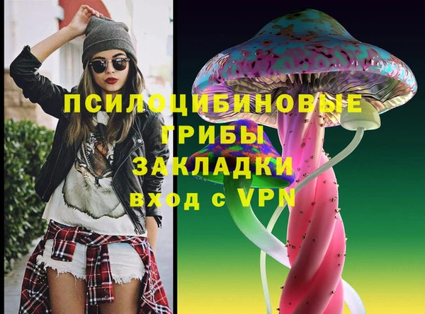 тгк Кулебаки