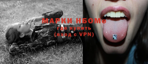 сатива Куйбышев