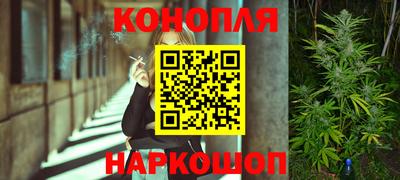 гидра Пыть-Ях
