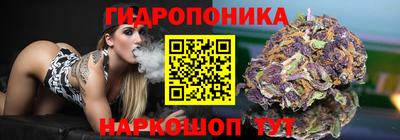 сатива Пугачёв